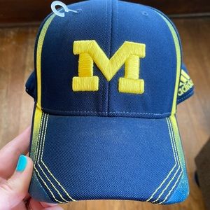 University of Michigan wolverines hat
